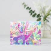 美しい葉クロートンの(2) ポストカード (スタンド正面)