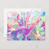 美しい葉クロートンの(2) ポストカード (正面/裏面)