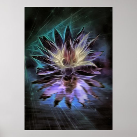 美しい蓮の花 ポスター (正面)