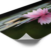 美しい蓮、禅 ポスター (角)