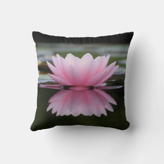 美しい蓮、風景 クッション (裏面)