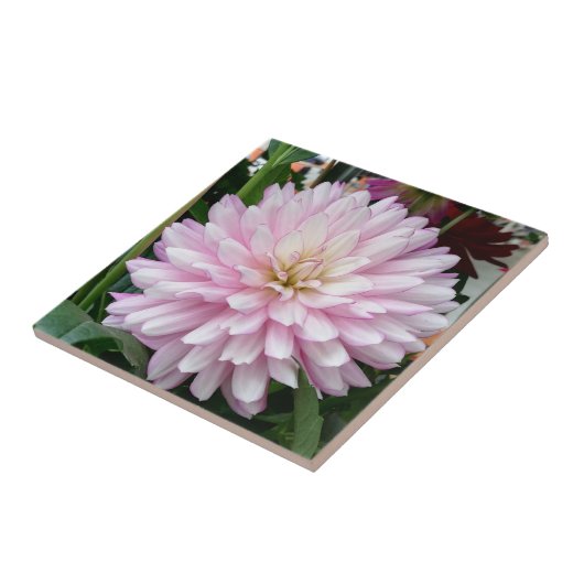 美しい薄紫のダリアの花 タイル (側面)