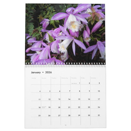 美しい蘭のフローラ写真 カレンダー (1月 2026)