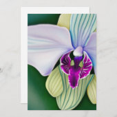 美しい蘭 シーズンカード (正面/裏面)