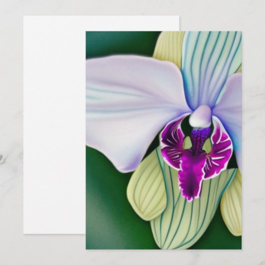 美しい蘭 シーズンカード (正面/裏面)