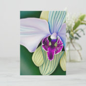 美しい蘭 シーズンカード (スタンド正面)