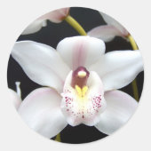 美しい蘭 ラウンドシール (正面)
