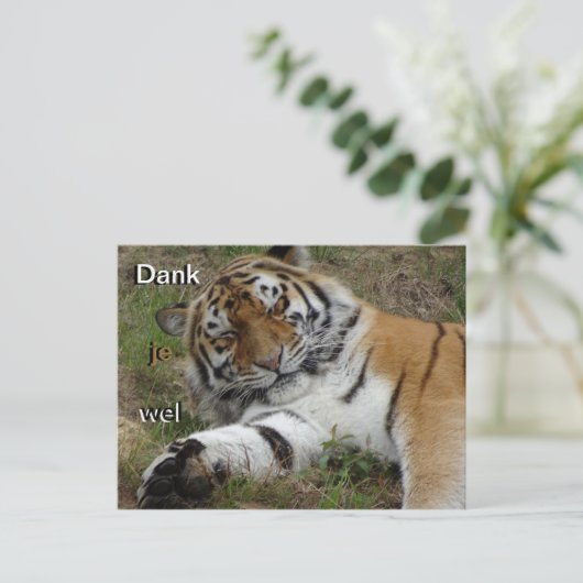 美しい虎の感謝のポストカード ポストカード (スタンド正面)