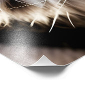 美しい虎の顔 フォトプリント            (角)