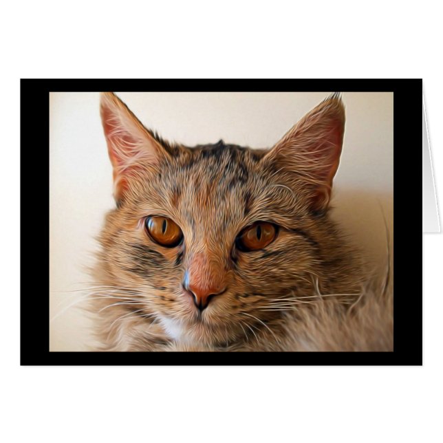 美しい虎猫猫 (正面横)