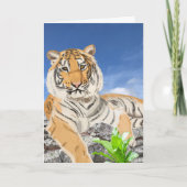美しい虎 カード (正面)