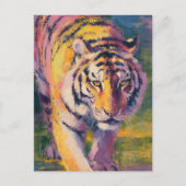 美しい虎 ポストカード (正面)
