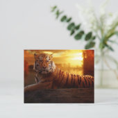 美しい虎 ポストカード (スタンド正面)