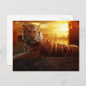 美しい虎 ポストカード (正面/裏面)
