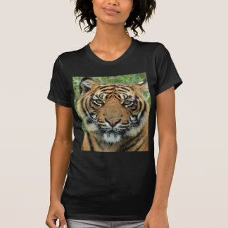 美しい虎 Tシャツ