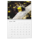 美しい虫2016のカレンダー カレンダー (1月 2027)