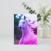 美しい虹の色アラビアンホースマーレカード ポストカード (スタンド正面)