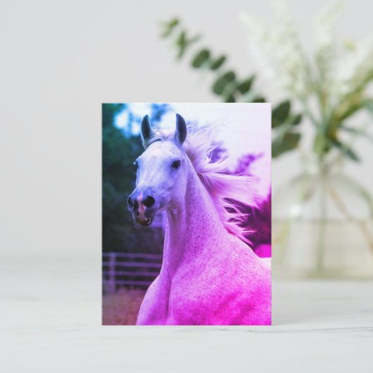 美しい虹の色アラビアンホースマーレカード ポストカード (スタンド正面)