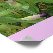 美しい虹彩アイリスフラワーガーデンポスター ポスター (角)