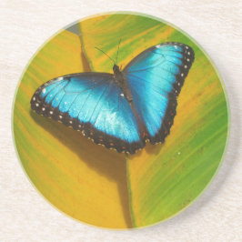 美しい虹色の蝶 コースター