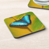 美しい虹色の蝶 コースター (左側)