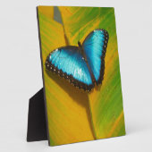 美しい虹色の蝶 フォトプラーク (側面)