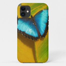 美しい虹色の蝶 iPhone 11 ケース