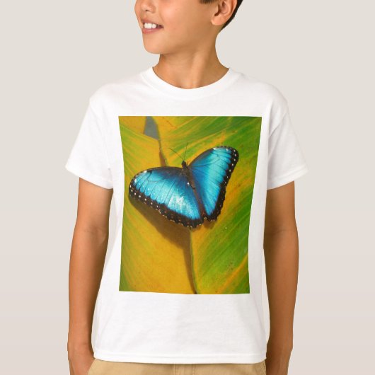 美しい虹色の蝶 Tシャツ (正面)