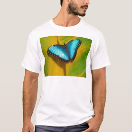 美しい虹色の蝶 Tシャツ