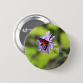 美しい蛾 缶バッジ (正面&裏面)