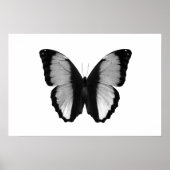 美しい蝶々の白黒の写真 ポスター (正面)