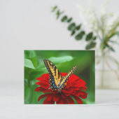 美しい蝶々の赤い花 ポストカード (スタンド正面)