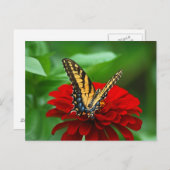 美しい蝶々の赤い花 ポストカード (正面/裏面)