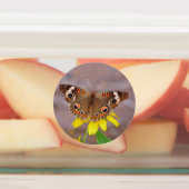 美しい蝶が黄色の花に ラベル (貼付)