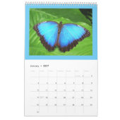美しい蝶と毛虫カレンダー カレンダー (1月 2027)