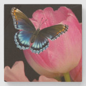 美しい蝶と花の砂岩コースター ストーンコースター (正面)