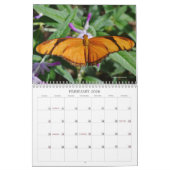 美しい蝶と蛾のカレンダー カレンダー (2月 2026)