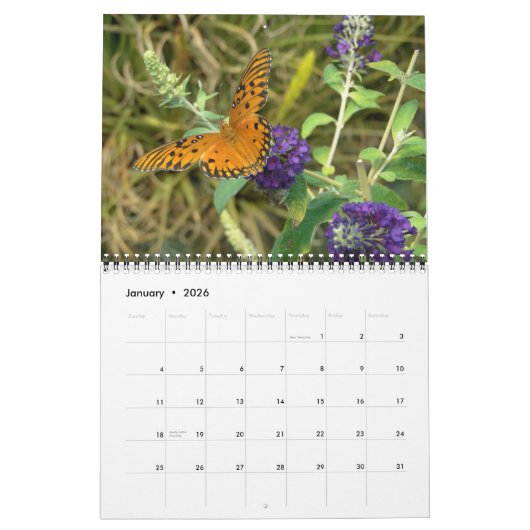 美しい蝶のカレンダー カレンダー (1月 2026)