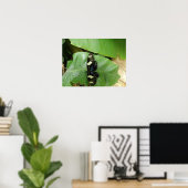 美しい蝶のプリント ポスター (ホームオフィス)