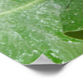 美しい蝶のプリント ポスター (角)