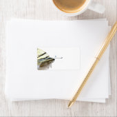 美しい蝶のラベル ラベル (インサイチュ)