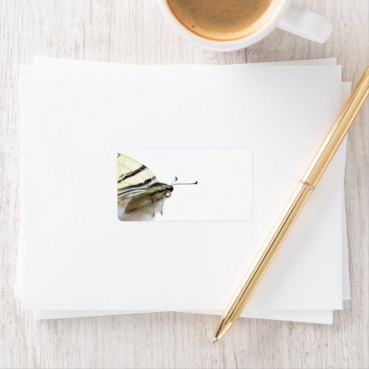 美しい蝶のラベル ラベル (インサイチュ)