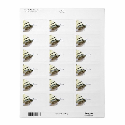 美しい蝶のラベル ラベル (フルシート)