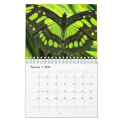 美しい蝶の写真 カレンダー (2月 2026)