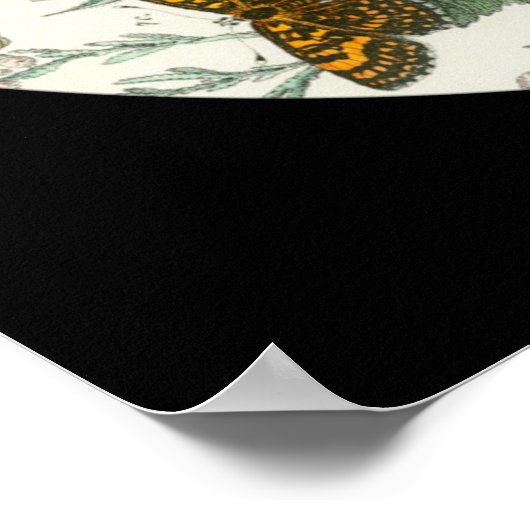 美しい蝶の羽の曼荼羅のポスター ポスター (角)