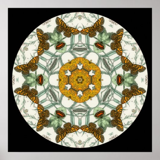 美しい蝶の羽の曼荼羅のポスター ポスター (正面)