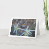 美しい蝶の肖像 カード (正面)