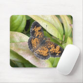 美しい蝶の自然マウスパッド マウスパッド (マウス)
