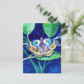 美しい蝶はがき ポストカード (スタンド正面)