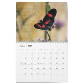 美しい蝶カレンダー カレンダー (3月 2027)